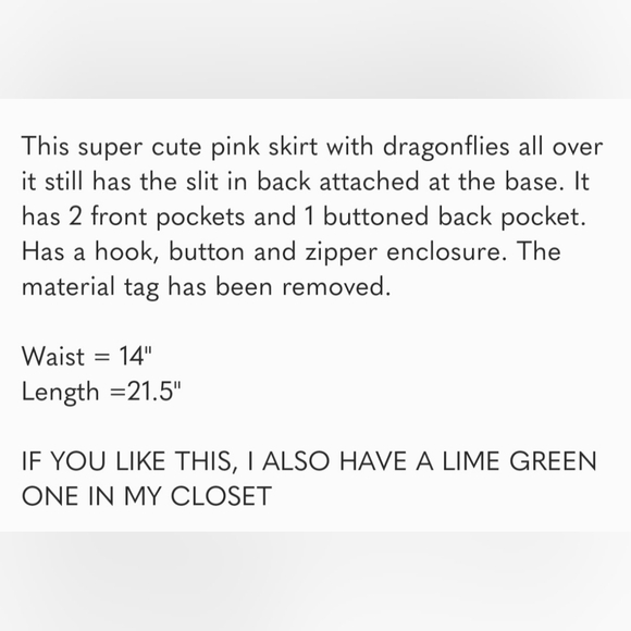 Talbots Dragonfly Embroidered Design Pink Skirt, 4 - Picture 5 of 5